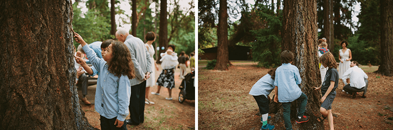 Boys playing at small wedding in Lincoln Park Seattle. 