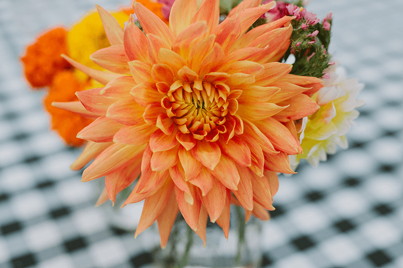 Vibrant orange Dahlia as a baby shower centerpiece. 