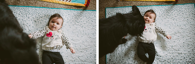 Curious pet dog sniffs a baby girl, as she giggles and kicks her feet. 