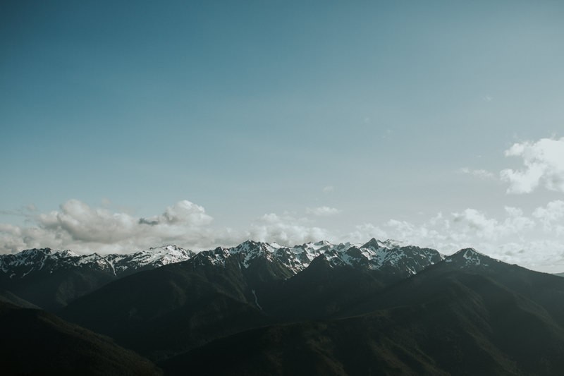Mountain top views from Hurricane Ridge in the Olympics. 