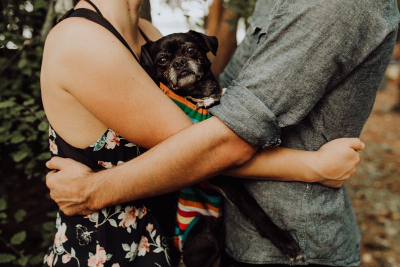 PNW engagement session with their dog. 
