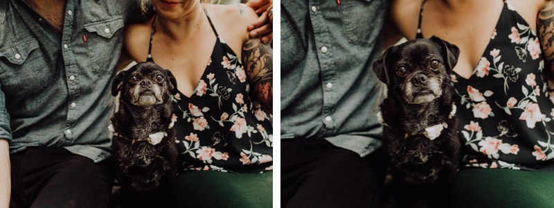 Fun PNW engagement session with the couple's cute dog. 